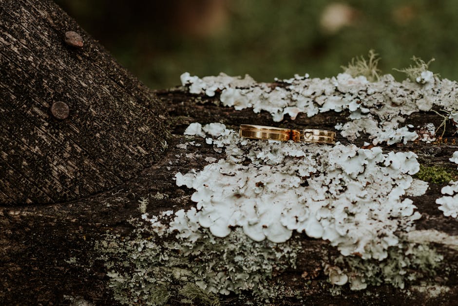 Macro shot of wedding rings